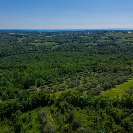 Skarline Comfortable Vila *